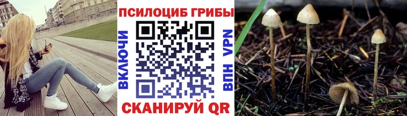 Галлюциногенные грибы Psilocybine cubensis что такое наркотик гидра как войти Коммунар