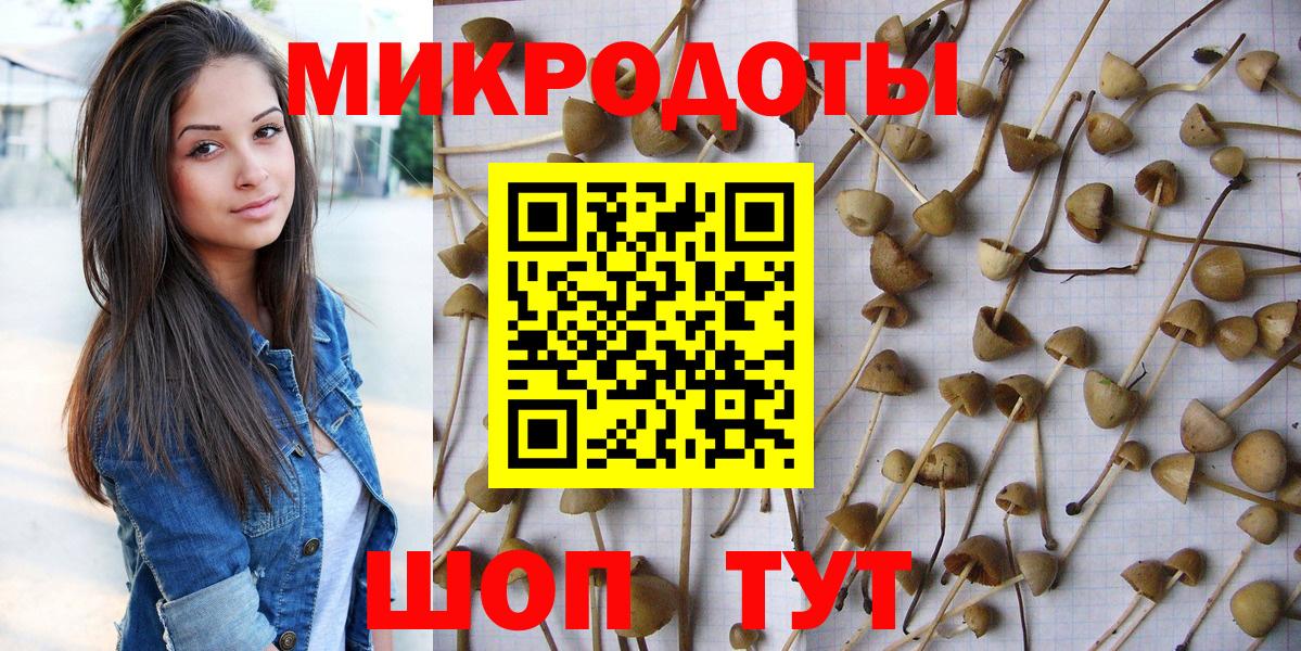 Коммунар  Псилоцибиновые грибы Cubensis  наркошоп  Вход с VPN 