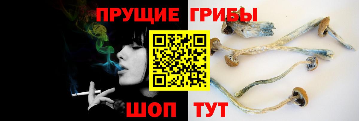 Галлюциногенные грибы Psilocybine cubensis Коммунар